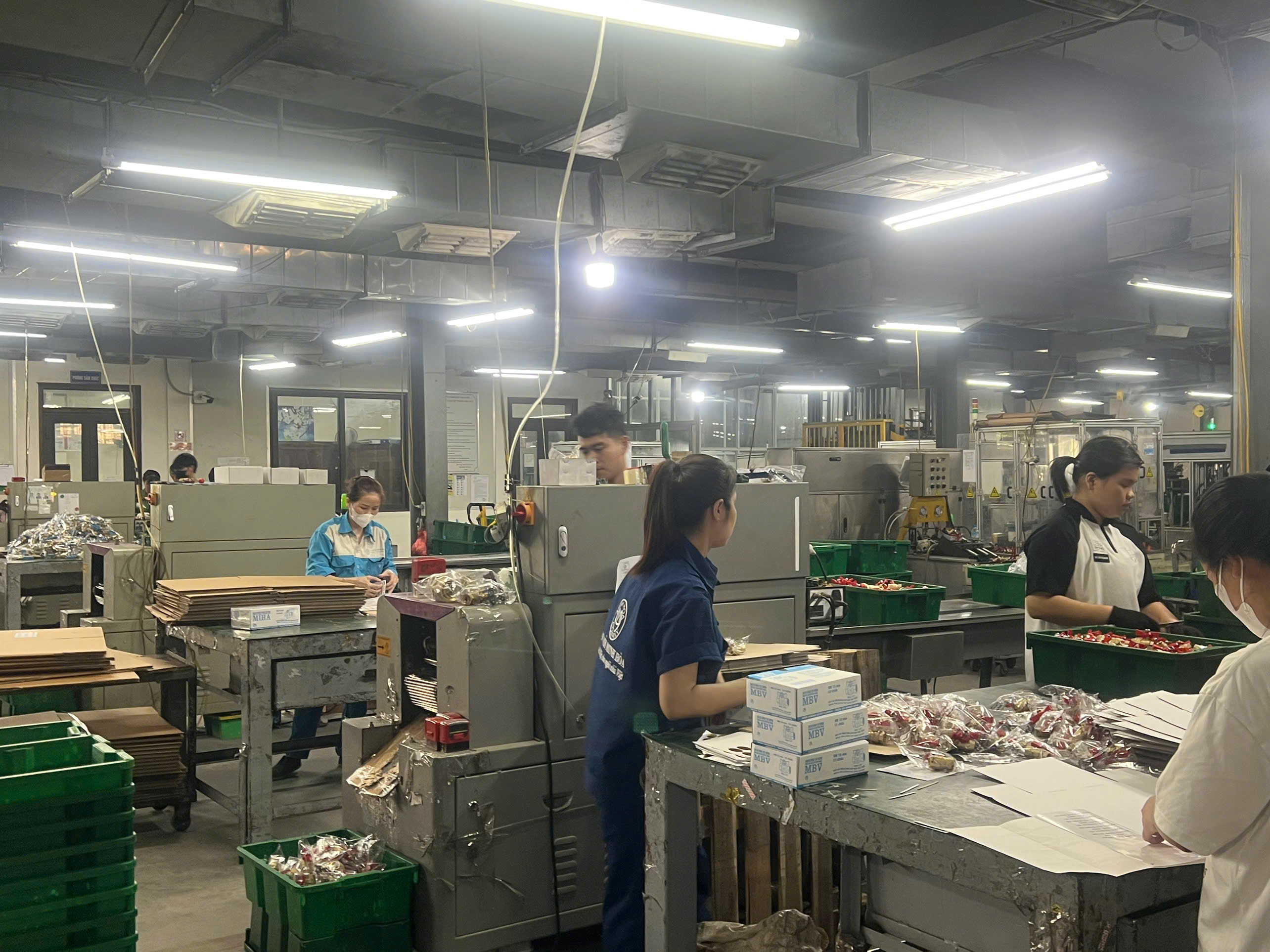 Production Area 10.jpg